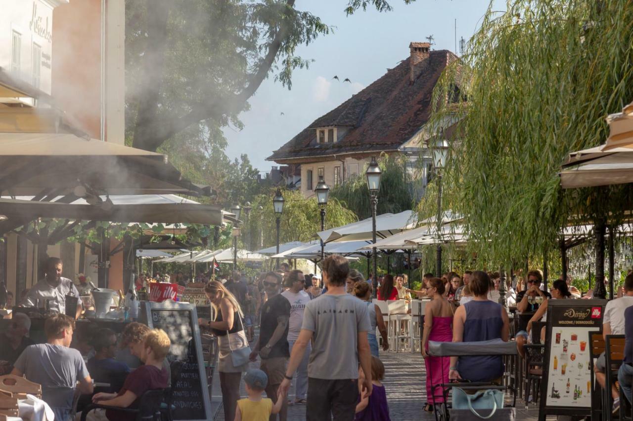 Njegoseva With Big Terrace * Ljubljana